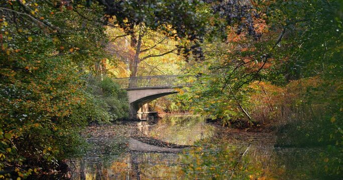 Eine sch&ouml;ne Br&uuml;cke im Herbst in Berlin, Tiergarten. Deutschland.