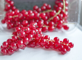 Group of red and wet currants on a white background