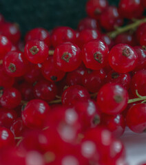 Group of red and wet currants in plastic container