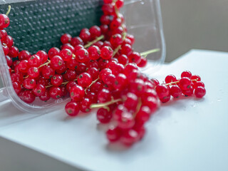 Group of red and wet currants in plastic container