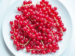 Group of red and wet currants on a white background