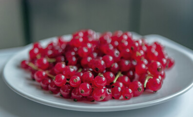 Group of red and wet currants on a white background