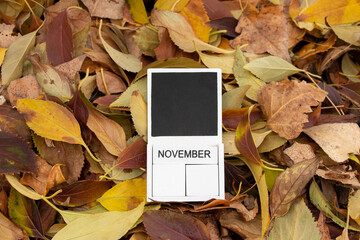 A wooden calendar with cubes and the name of the month of November lies on yellow autumn leaves in the forest, autumn calendar