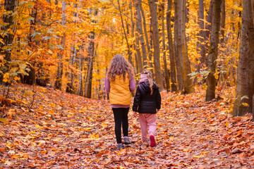 Fototapeta premium Two girls (sisters) on a walk in a beautiful autumn forest. Shallow depth of field.