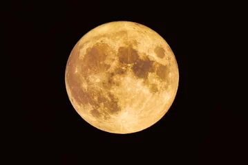 Abwaschbare Fototapete Vollmond 満月