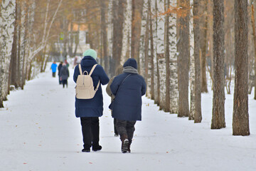 Two women walk along the alley of the park on a winter day