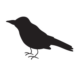 Silhouette. Raven. Vector hand drawn illustration.