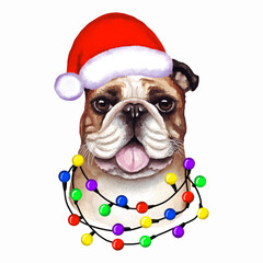 English bulldog Dog with christmas lights in Santa's hat. Cute Christmas illustration