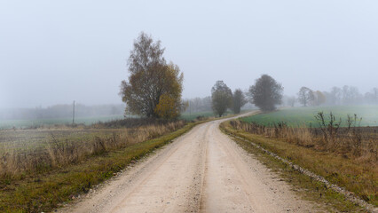 Fototapeta na wymiar Country road on a misty autumn day