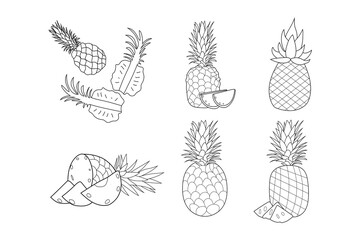 Set of pineapple line drawn on a white background, full and half a pineapple, hand sketch fruit