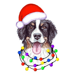 Bernese Mountain Dog with christmas lights in Santa's hat. Cute Christmas illustration