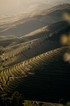 douro valley