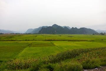 Fototapeta na wymiar Scenic landscape of limestone karst mountains rising above a river and green fields in the village of Phong Nha.