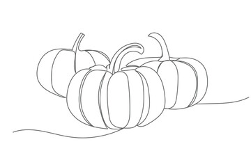 Line art hand drawing pumpkin, Minimalist black line sketch isolated on white background, Vector illustration