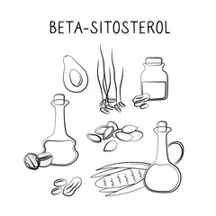 Beta-sitosterol-containing food. Groups of healthy products containing vitamins and minerals. Set of fruits, vegetables, meats, fish and dairy