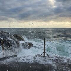 Waves