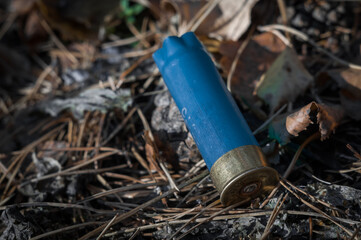 Used Hunting cartridge cases for a twelfth-gauge shotgun. Shotgun shell. Hunting blank cartridges of 12 gauge lie on dry foliage in the forest. Selective focus
