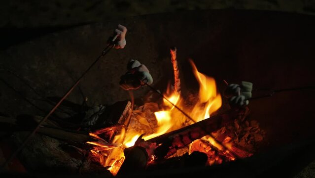 roating mashmallow candy on the firewood heat while camping. in night time forest camping vacation
