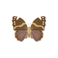 Butterfly vector illustration on white background
