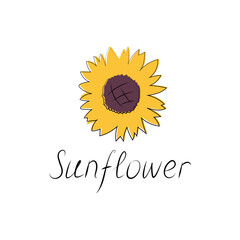 Fototapeta premium Sunflower icon isolated on white background, card template, for book, cover, banner. Hand painted flowers. Vector