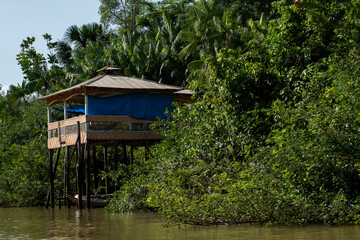 houses in the jungle