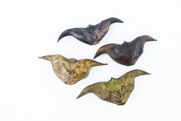 Fresh water chestnut on white background