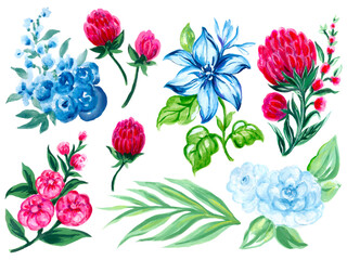 Watercolor element Flowers Botanical foliage branch Abstract Style isolated on white