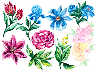 Watercolor element Flowers Botanical foliage branch Abstract Style isolated on white