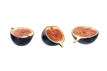 Top view of fig isolated on white background, clipping path, full depth of field. Focus stacking, PNG