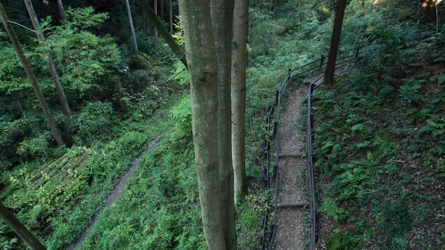 Descending path in a Japanese forest scenery, Jike Furusato Village in Aoba-Ward of Yokohama