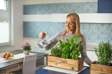 Woman watering herb in a small wooden planter at home, medium shot - obrazy, fototapety, plakaty