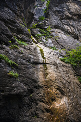 Aareschlucht Gorge, Switzerland - 30 July 2022 , Aareschlucht Gorge formed for thousands of years by the Aare Glacier.