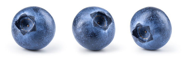 Blueberry isolated. Blueberry set on white background. Blueberries with clipping path. - obrazy, fototapety, plakaty