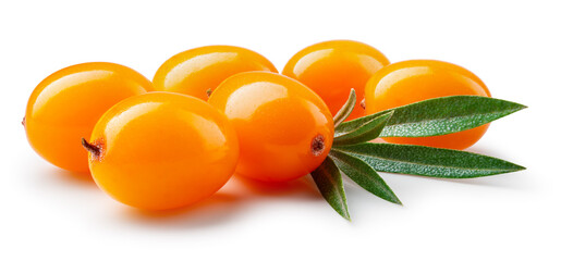 Buckthorn isolated. Sea buckthorn with leaves on white background. Buckthorn with clipping path....