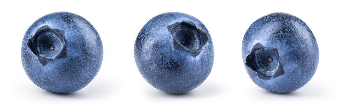 Blueberry isolated. Blueberry set on white background. Blueberries with clipping path.