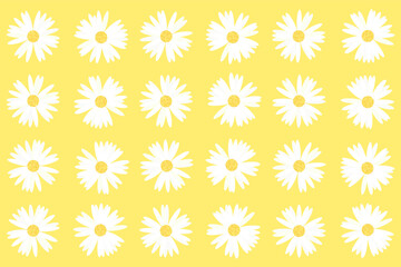 Pattern and set of daisies on yellow background