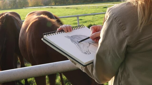 Woman artist sketching horse in autumn outdoors. Pencil drawing