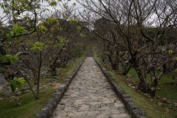 沖縄本島の風景