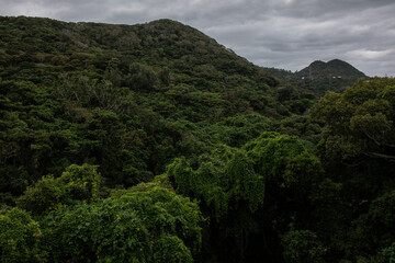Obraz premium 沖縄本島の風景