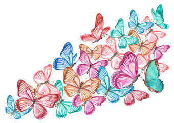 watercolor flock of flying colorful different butterflies for your design. invitation card. watercolour painting. png - 544371890