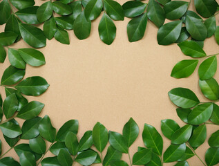 fresh tropical green leaves pattern ornament wreath frame decoration foliage isolated with empty on beige background.ecology concept,invitation greeting card romantic wedding minimal design.