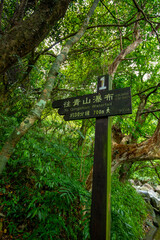 forest, trail, set, road sign, signage, forest trail,