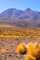 estrada no deserto do atacama, chile