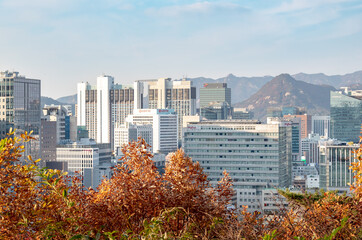 Obraz premium Downtown city building skyline skyscraper view of Seoul South Korea, mountains, and orange autumn fall tree leaves