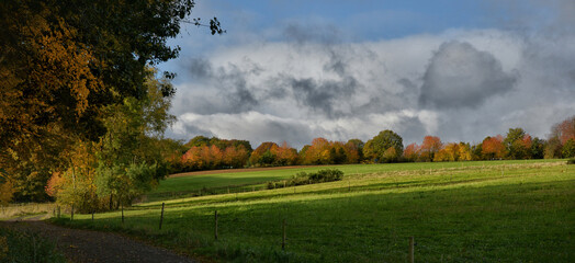 Panorama im Herbst von der Eifel