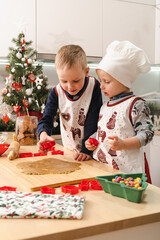 Two little brothers prepairing and decorating together gingerbreads in modern kitchen - boys at...