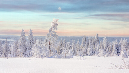Beautiful winter wonder landscape Black Forest, Germany  - obrazy, fototapety, plakaty