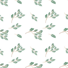 seamless watercolor pattern png  spruce and cone Christmas