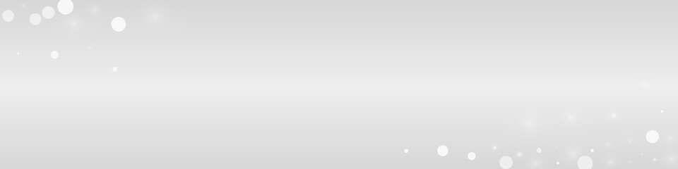Silver Snow Vector Grey Panoramic Background.