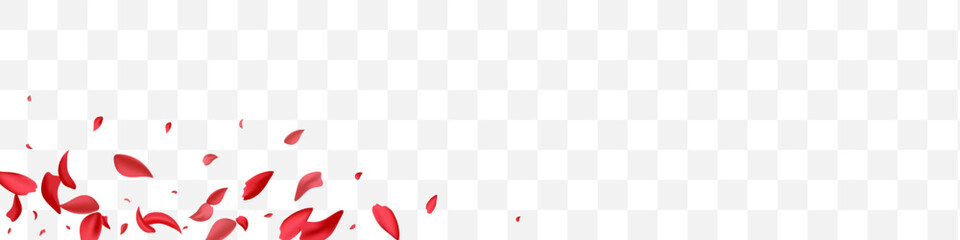 Beautiful Flower Fall Vector Transparent